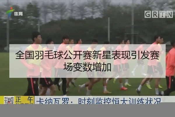 全国羽毛球公开赛新星表现引发赛场变数增加 - FEIFAN